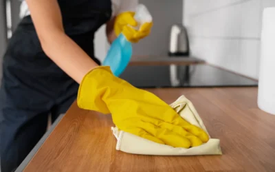 10 Quick Tips for a Spotless Home Every Day