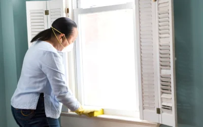 How to Keep Your Home Germ-Free and Sanitized